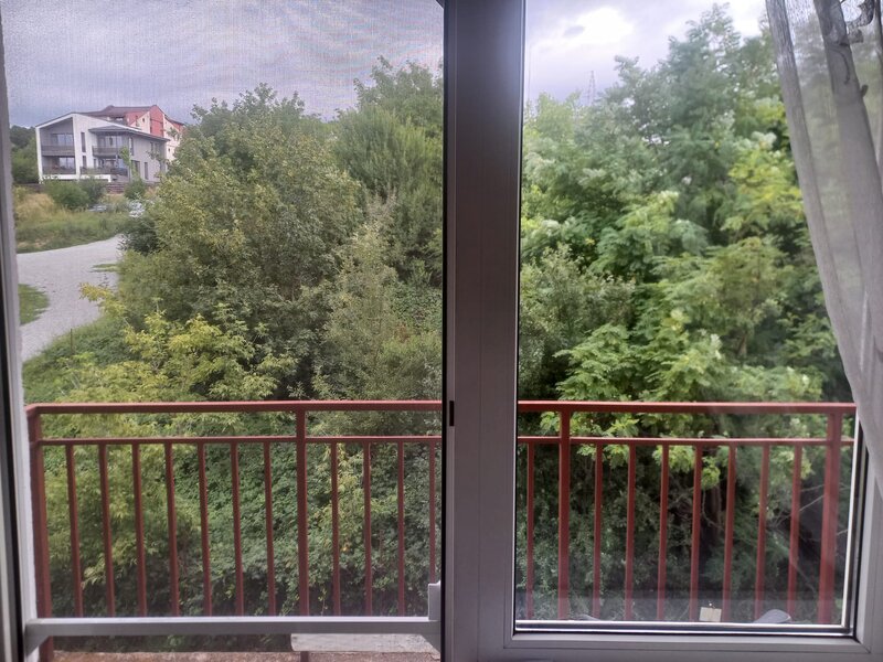 Manastur,